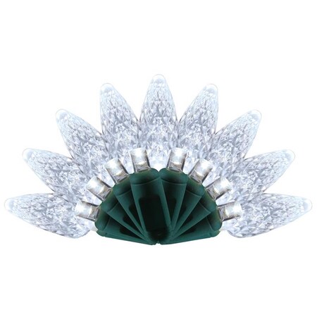 Celebrations Celebrations Platinum LED C6 Pure White Duet 50 ct String Christmas Lights 25 ft. C65MM50PWA